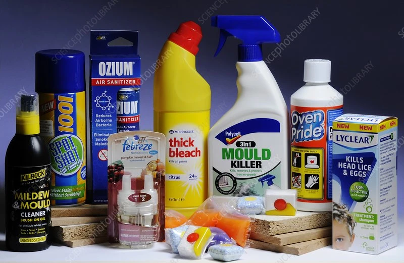 Health and Household